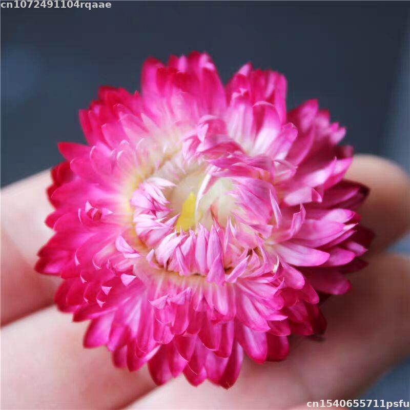 100% Natural Dried Flowers Bra - Soap Making Material Wholesale บทวิจารณ์และราคา